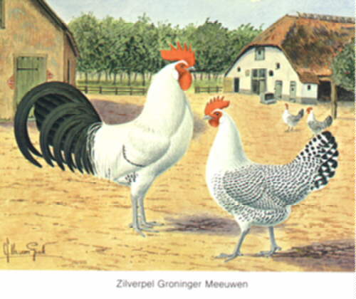 Gronmw.jpg (33328 bytes)